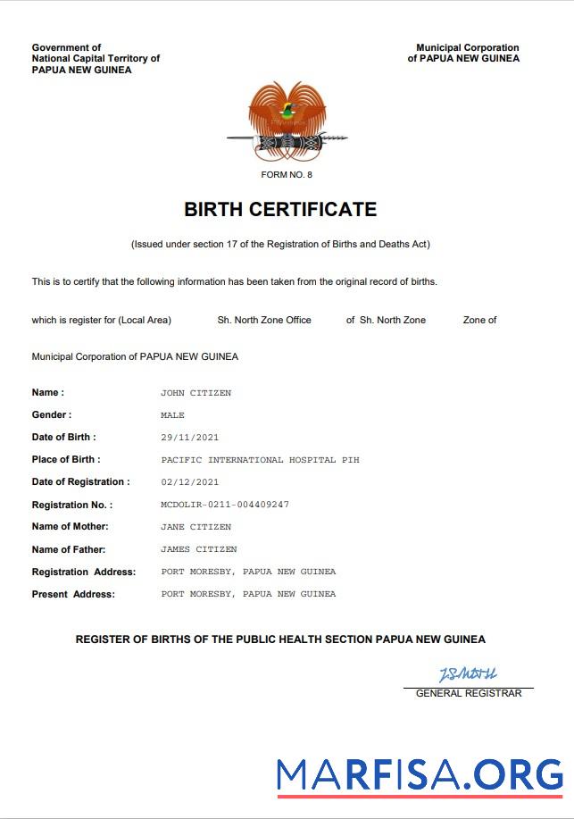 Blank Papua New Guinea vital record birth certificate Word and PDF template